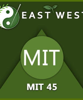 #903 MIT 45