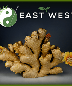 Ginger Root Powder