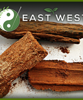 Quinine Cinchona Bark - Organic
