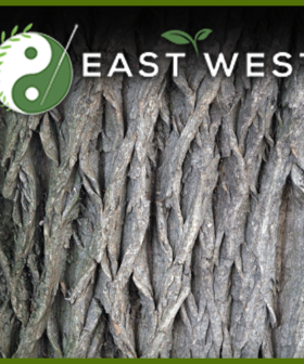 White Willow Bark