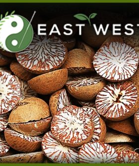 Betel Nut
