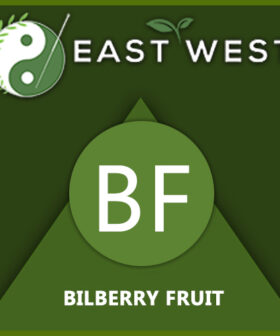 Bilberry Fruit