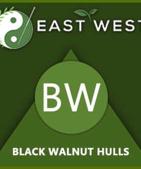 Black Walnut Hulls Powder
