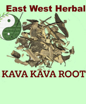 Kava Root and Powder (Piper Methysticum) - Organic