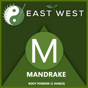 Mandrake root