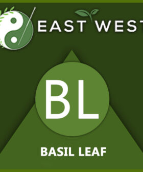 Basil Leaf Powder