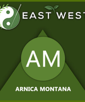 Arnica Montana
