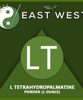 L Tetrahydropalmatine Powder