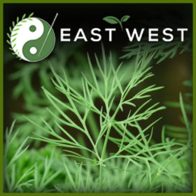 Dill Weed - Organic Loose Leaf Tea Herb Spice