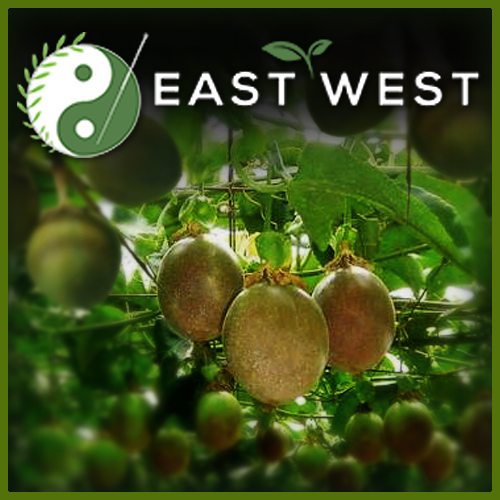 Pygeum African - Organic