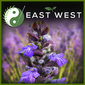 Lavender Oil Extract
