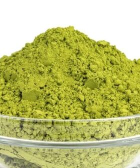Breadfruit Leaf Powder or Artocarpus Altilis