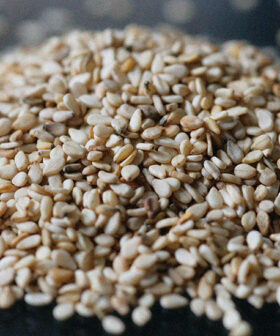 Sesame Seed
