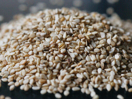 Sesame Seed