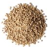 Coriander Seed