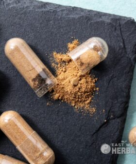 Ashwagandha Extract Capsules laying on a black slab
